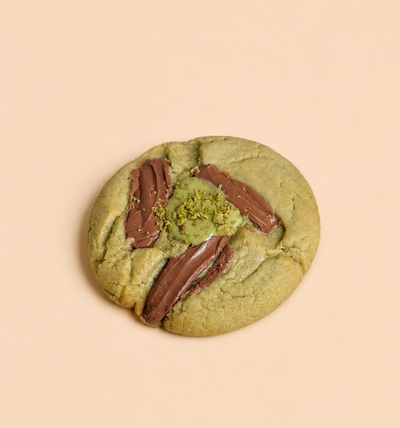 Bear Stacchio